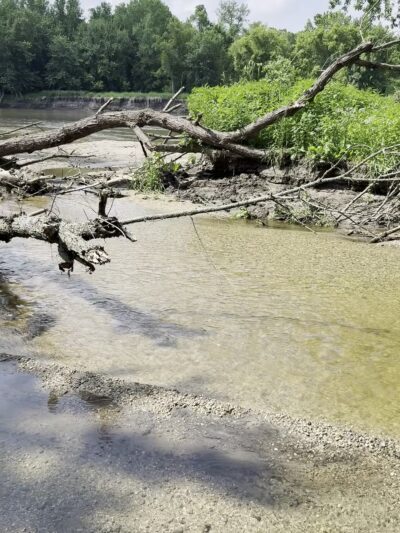 Vicksburg County Park - Renville, MN