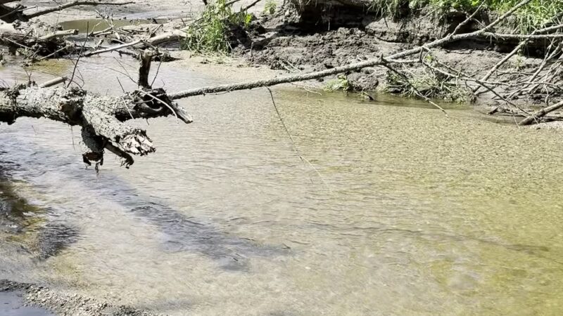 Vicksburg County Park - Renville, MN