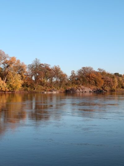 Vicksburg County Park - Renville, MN