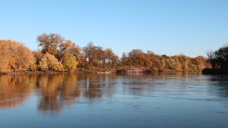 Vicksburg County Park - Renville, MN