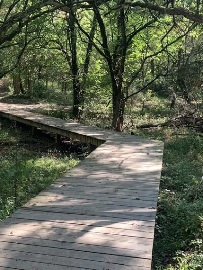 Brookline Park - Republic, MO