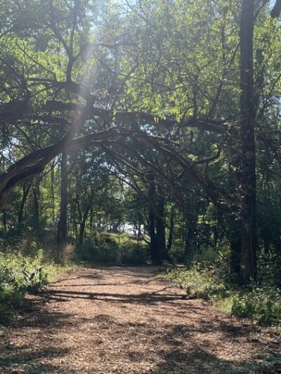 Brookline Park - Republic, MO