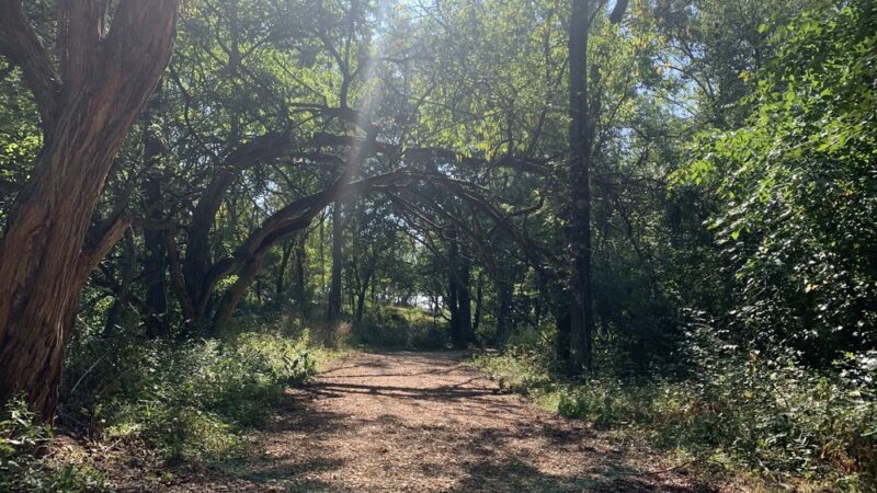 Brookline Park - Republic, MO