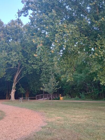 Brookline Park - Republic, MO