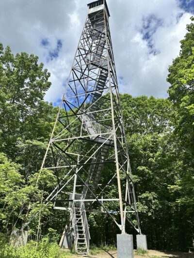 Ferncliff Forest - Rhinebeck, NY