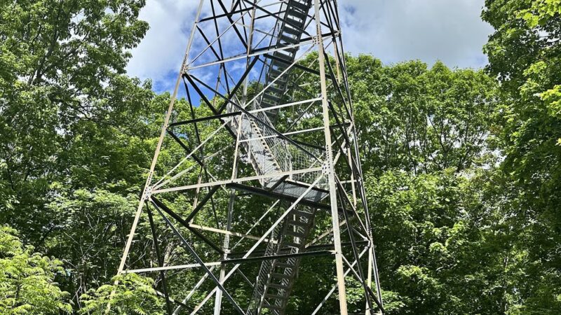 Ferncliff Forest - Rhinebeck, NY