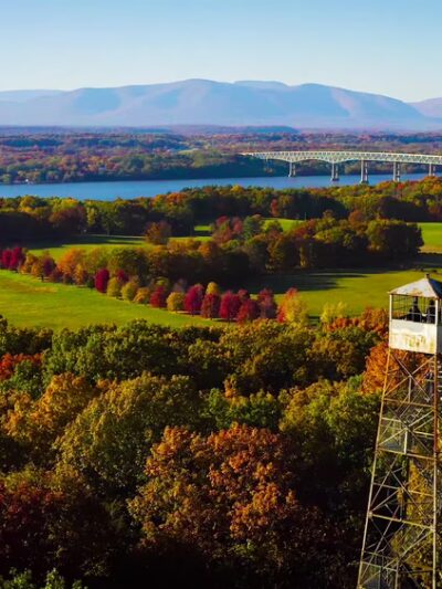Ferncliff Forest - Rhinebeck, NY