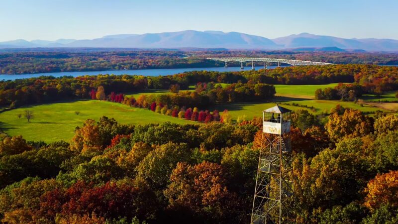 Ferncliff Forest - Rhinebeck, NY