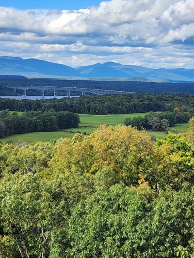 Ferncliff Forest - Rhinebeck, NY
