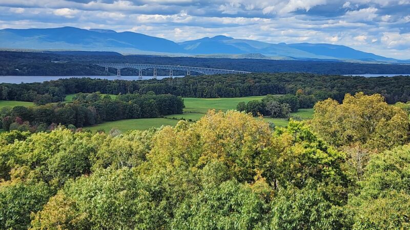 Ferncliff Forest - Rhinebeck, NY