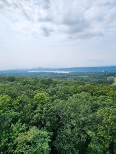 Ferncliff Forest - Rhinebeck, NY
