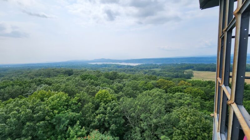 Ferncliff Forest - Rhinebeck, NY