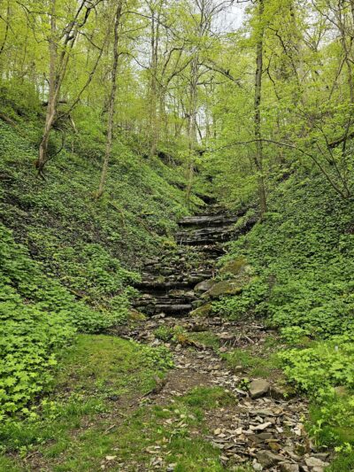 Greene River Trail: Rices Landing Trailhead - Rices Landing, PA