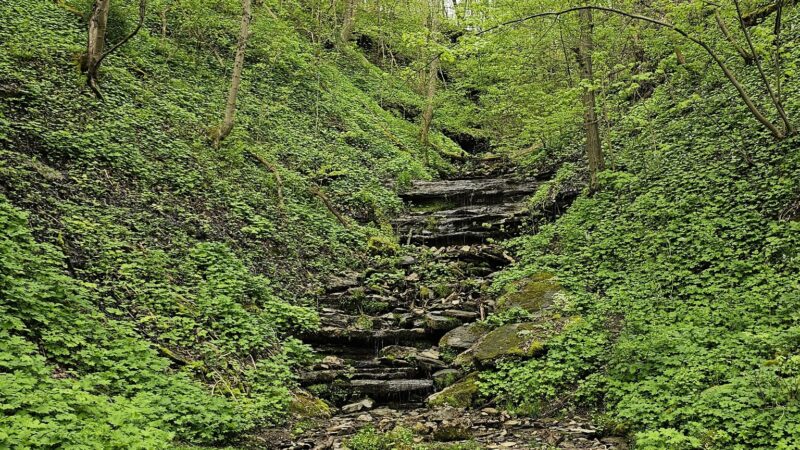 Greene River Trail: Rices Landing Trailhead - Rices Landing, PA