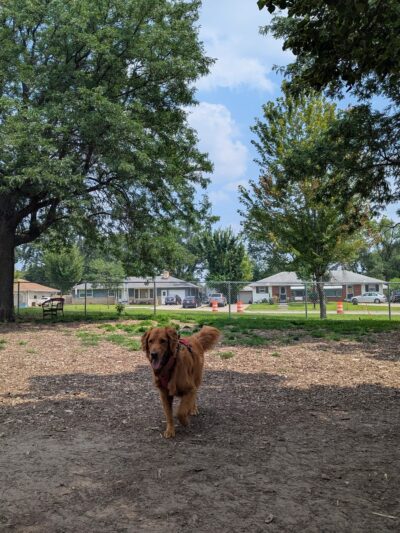 Off-Leash Dog Area - Richfield, MN