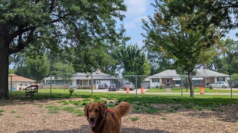 Off-Leash Dog Area - Richfield, MN