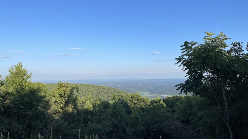 Shade Mountain Lookout - Richfield, PA