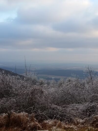 Shade Mountain Lookout - Richfield, PA