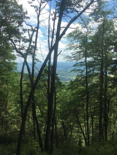 Shade Mountain Lookout - Richfield, PA