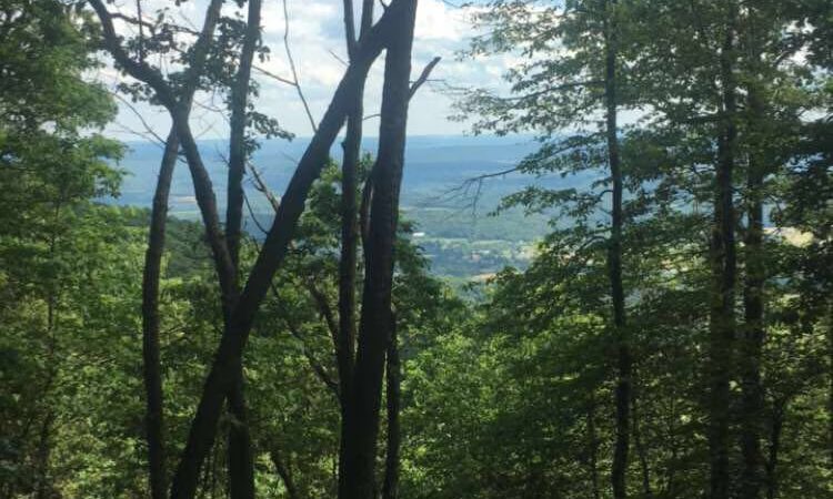 Shade Mountain Lookout - Richfield, PA