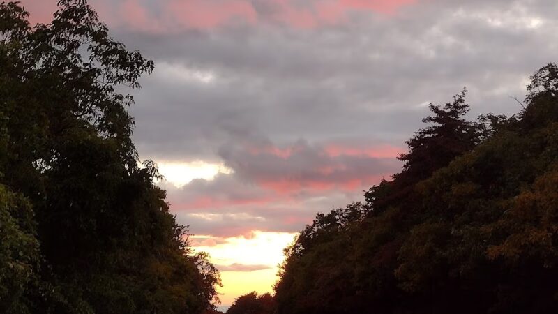 Shade Mountain Lookout - Richfield, PA