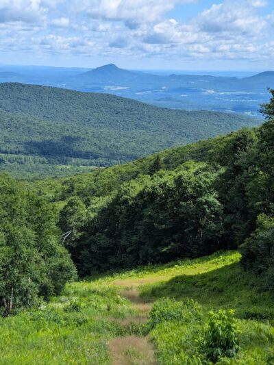 Jay State Forest - Richford, VT
