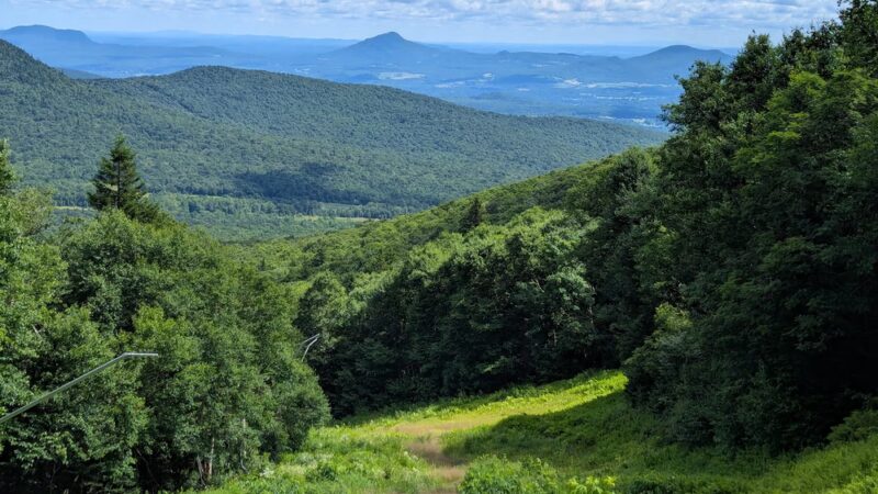 Jay State Forest - Richford, VT