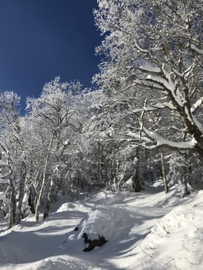 Jay State Forest - Richford, VT