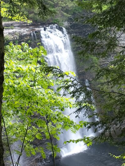 Salmon River Falls Unique Area - Richland, NY