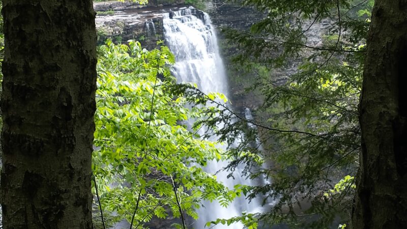 Salmon River Falls Unique Area - Richland, NY