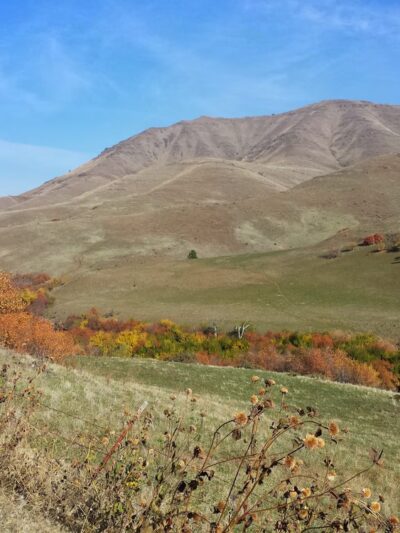 Eagle Valley Grange Community Park - Richland, OR