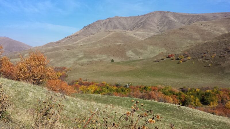 Eagle Valley Grange Community Park - Richland, OR