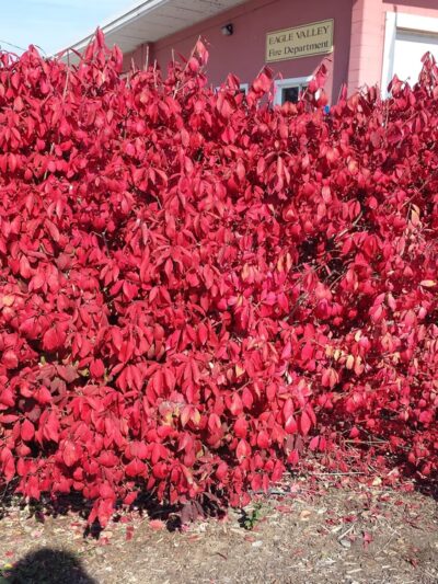 Eagle Valley Grange Community Park - Richland, OR