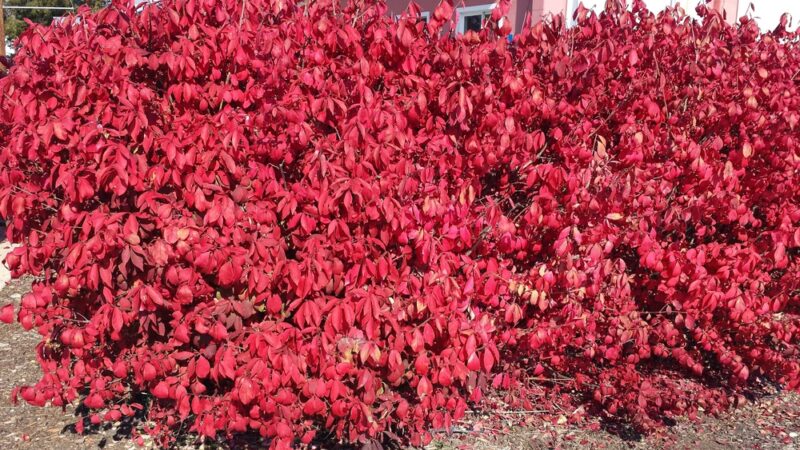 Eagle Valley Grange Community Park - Richland, OR