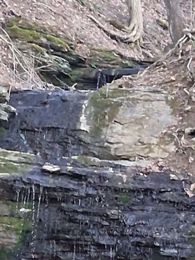 Critterville Kayak Launch - Richlands, VA