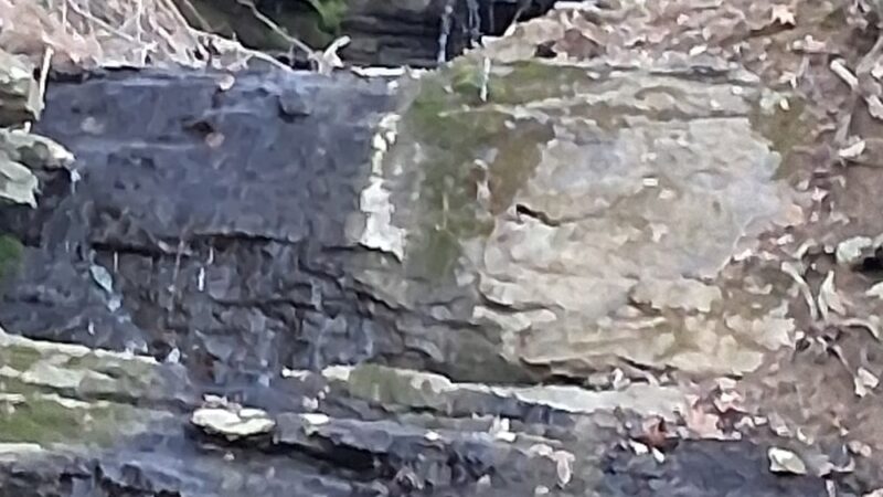 Critterville Kayak Launch - Richlands, VA