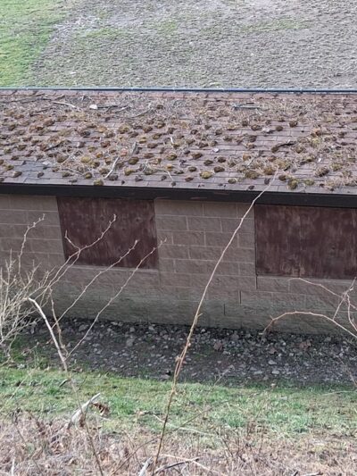 Critterville Kayak Launch - Richlands, VA