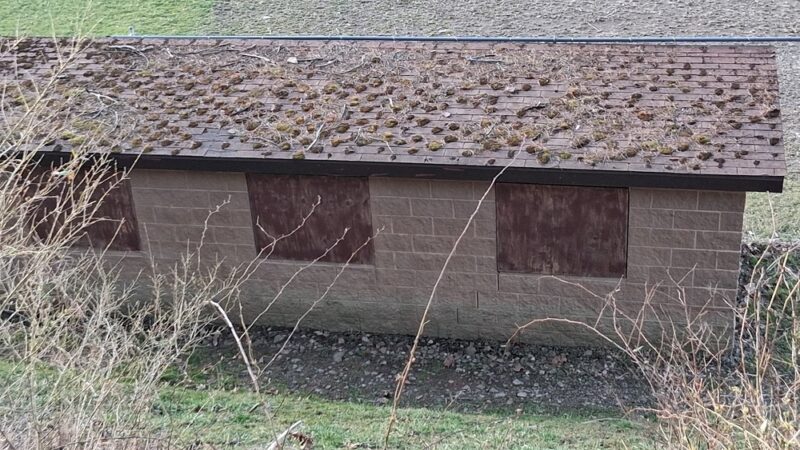 Critterville Kayak Launch - Richlands, VA