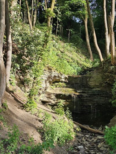 Critterville Playground - Richlands, VA