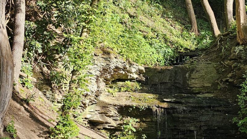 Critterville Playground - Richlands, VA