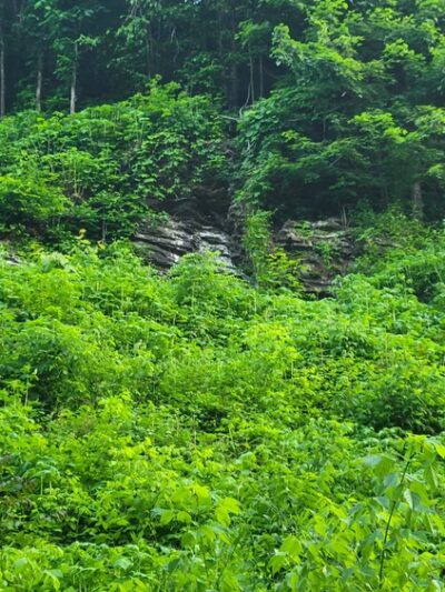 Critterville Playground - Richlands, VA