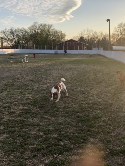 Richmond Dog Park - Richmond, MN