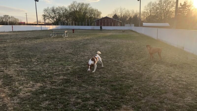 Richmond Dog Park - Richmond, MN