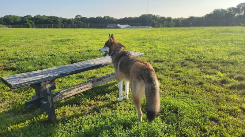 Richmond Dog Park - Richmond, RI