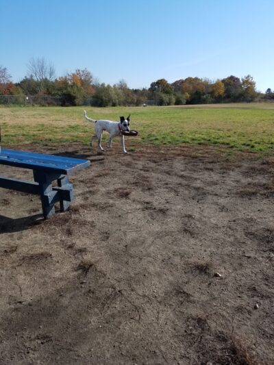 Richmond Dog Park - Richmond, RI