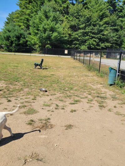 Richmond Dog Park - Richmond, RI