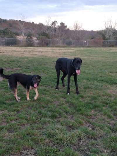 Richmond Dog Park - Richmond, RI