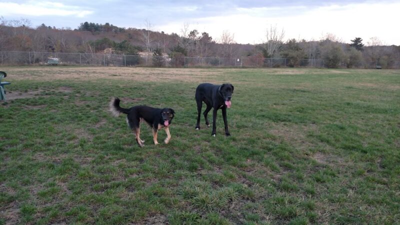 Richmond Dog Park - Richmond, RI