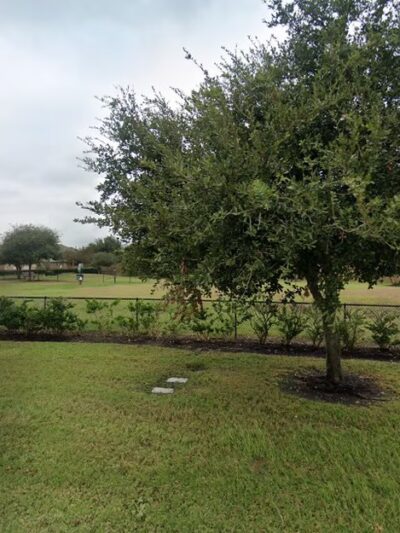 Lakes of Bella Terra Community Dog Park - Richmond, TX