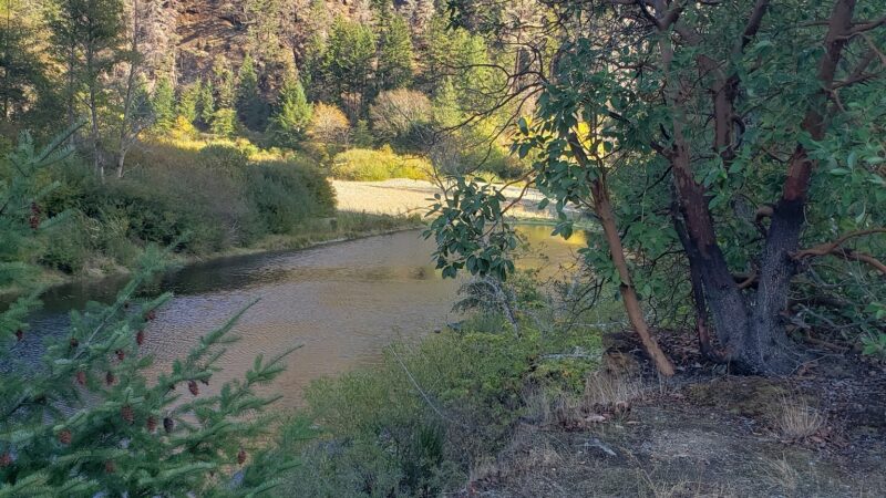 ISLAND CREEK DAY USE - Riddle, OR